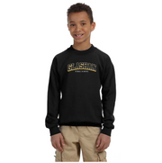 GLASHAN SPIRITWEAR - VARSITY - GILDAN COTTON FLEECE CREWNECK - YOUTH