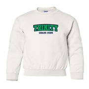 HOLY TRINITY GRAD - 2026 - GILDAN COTTON FLEECE CREWNECK - YOUTH