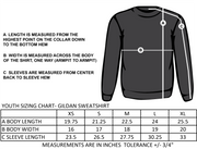 ST. BERNADETTE SPIRITWEAR - BEARS PRINT - INDEPENDANT HOODIE - ADULT