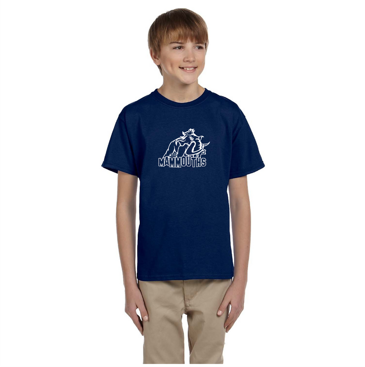 PIERRE DE BLOIS SPIRITWEAR - GILDAN COTTON TEE - YOUTH