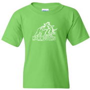 PIERRE DE BLOIS SPIRITWEAR - GILDAN COTTON TEE - YOUTH