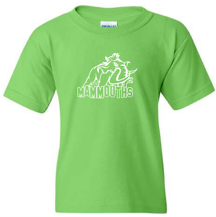 PIERRE DE BLOIS SPIRITWEAR - GILDAN COTTON TEE - YOUTH