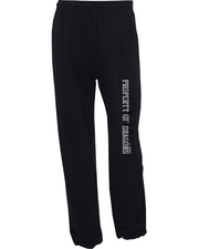 ST DOMINIC SPIRITWEAR - PROPERTY OF DRAGONS -  GILDAN SWEATPANTS - YOUTH
