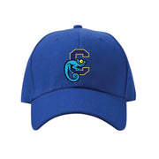 CENTENNIAL PUBLIC SCHOOL SPIRITWEAR - VALUE SNAP BACK CAP - YOUTH
