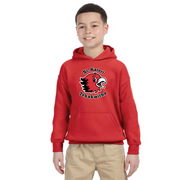 ST. KATERI SPIRITWEAR - GILDAN COTTON HOODIE - YOUTH