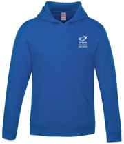 OTTAWA PACERS - VAULT PULLOVER HOODIE - YOUTH