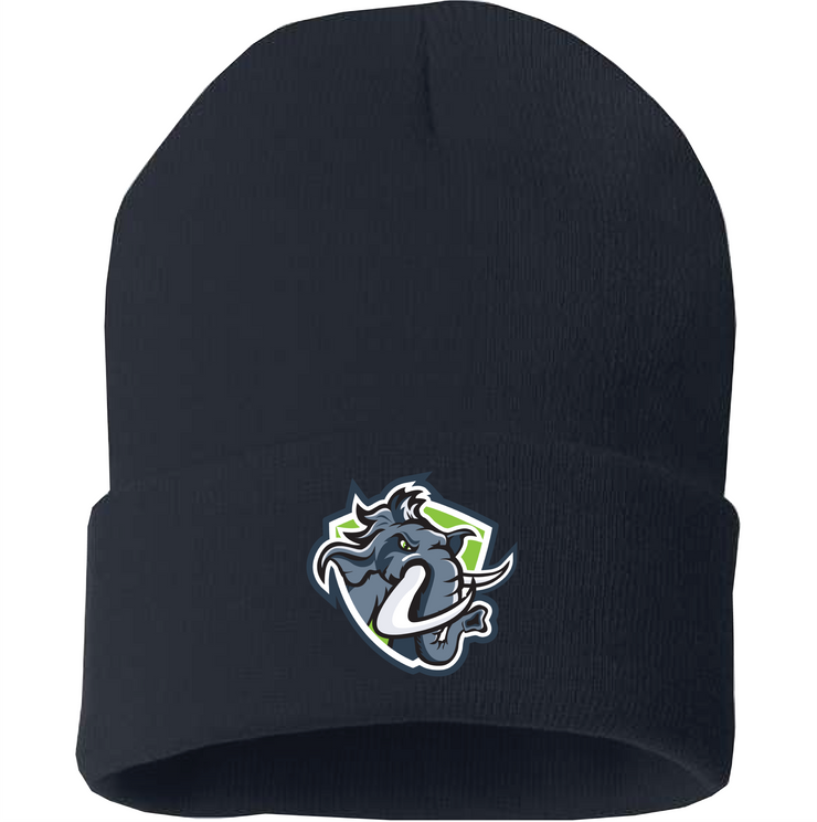 PIERRE DE BLOIS SPIRITWEAR - CUFFED BEANIE TOQUE