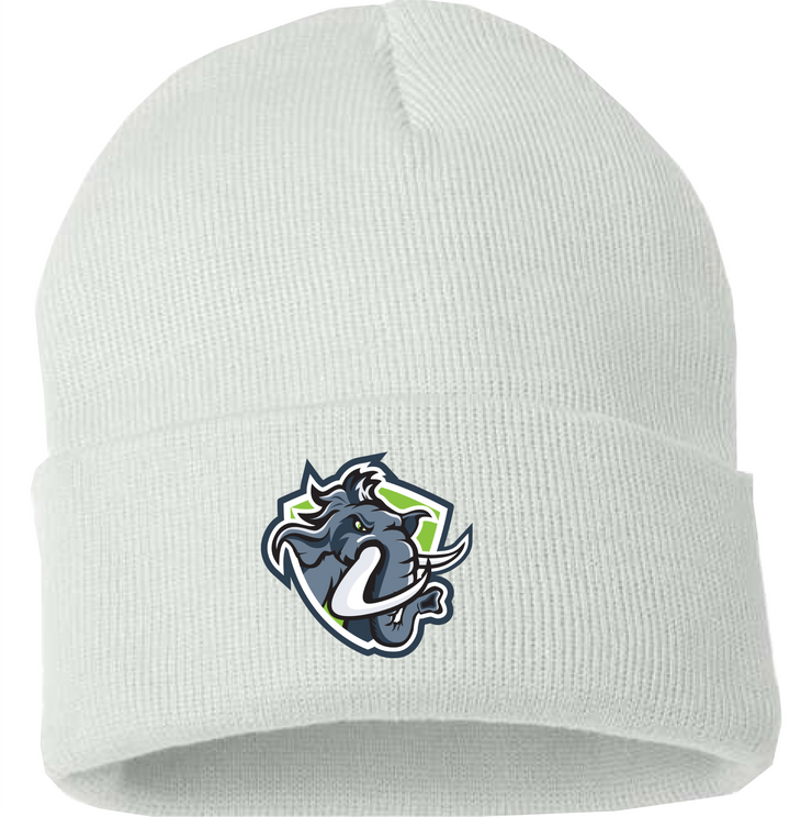 PIERRE DE BLOIS SPIRITWEAR - CUFFED BEANIE TOQUE