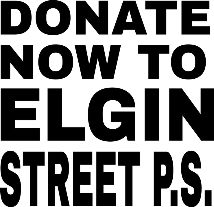 DONATE TO ELGIN STREET PUBLIC SCHOOL